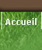 Accueil